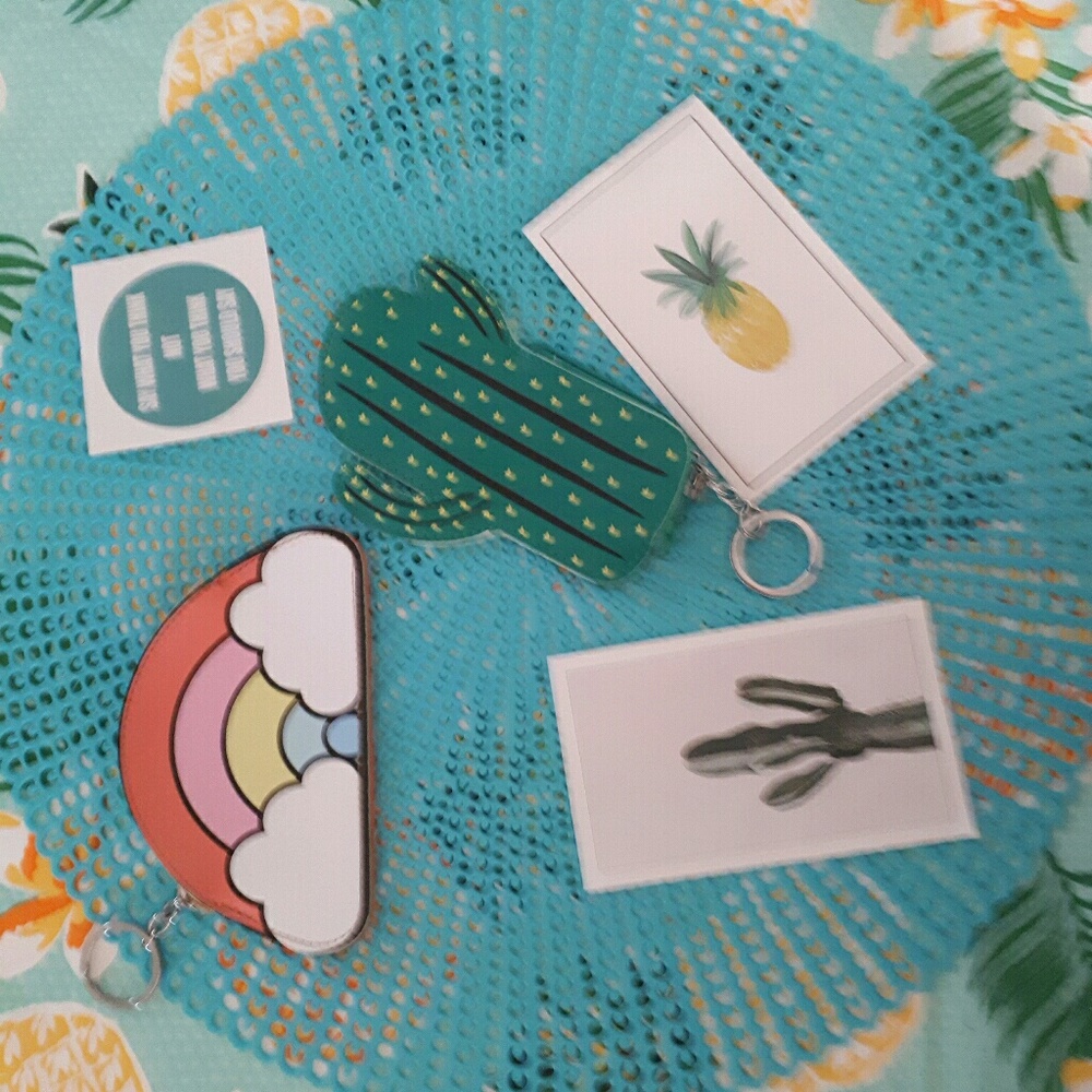 Cactus  coin purse